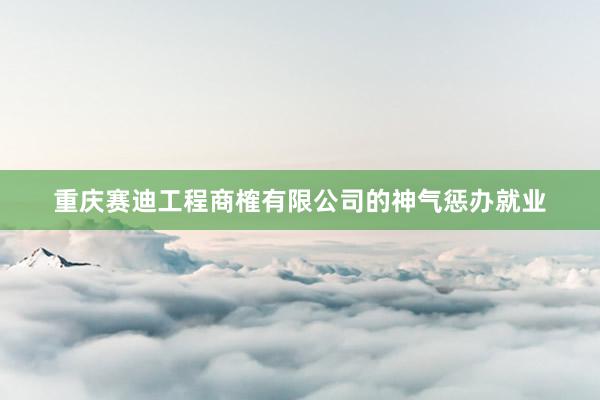 重庆赛迪工程商榷有限公司的神气惩办就业